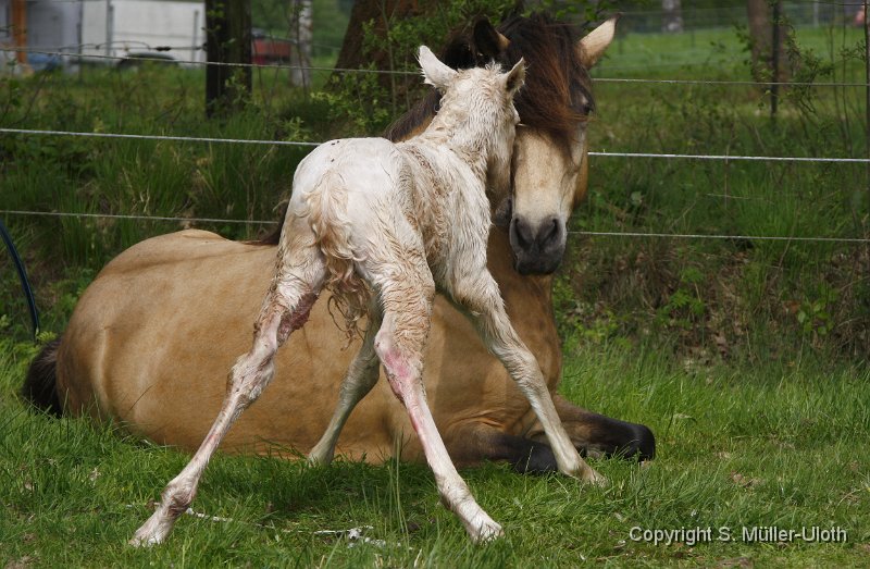 Hjoerdis 24 Min alt (7).JPG